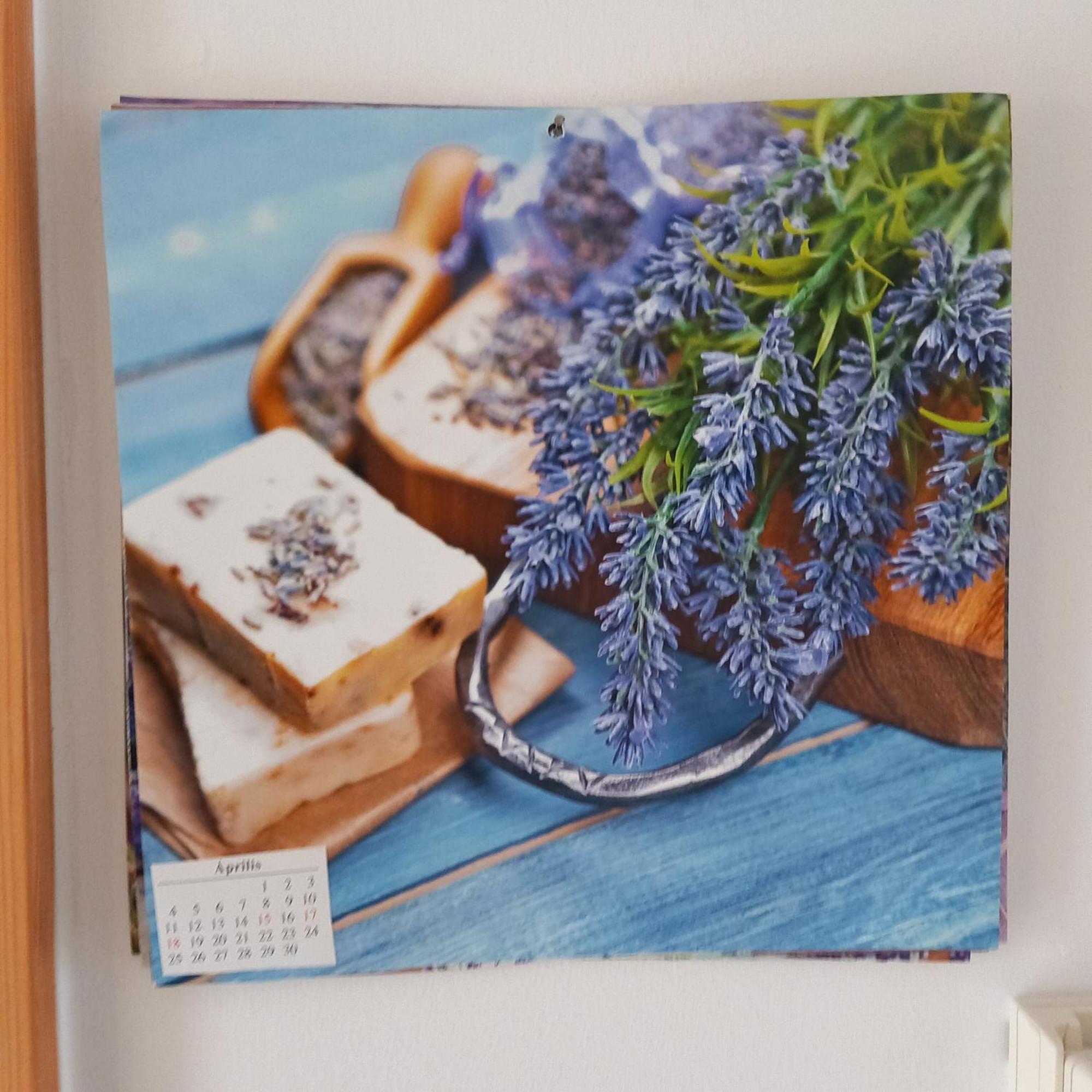 Lavender Apartment Hévíz المظهر الخارجي الصورة